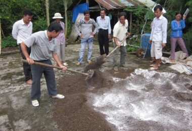 Tại sao cần ủ phân hữu cơ với men vi sinh Trichoderma?