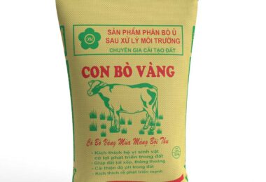 Phân Bò Ủ Men Vi Sinh